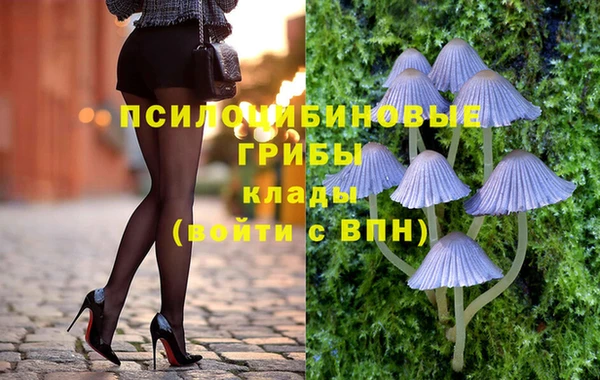 2c-b Балахна