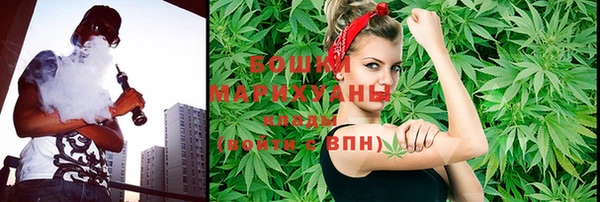 первитин Новозыбков