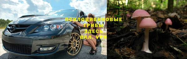 бошки Армянск