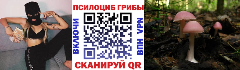 Галлюциногенные грибы Magic Shrooms Мурманск