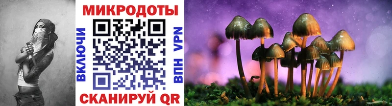 shop Telegram Мурманск Псилоцибиновые грибы Magic Shrooms
